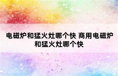 电磁炉和猛火灶哪个快 商用电磁炉和猛火灶哪个快